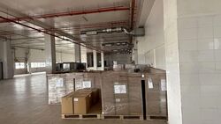 Senoko Industrial Estate (D27), Warehouse #604858281